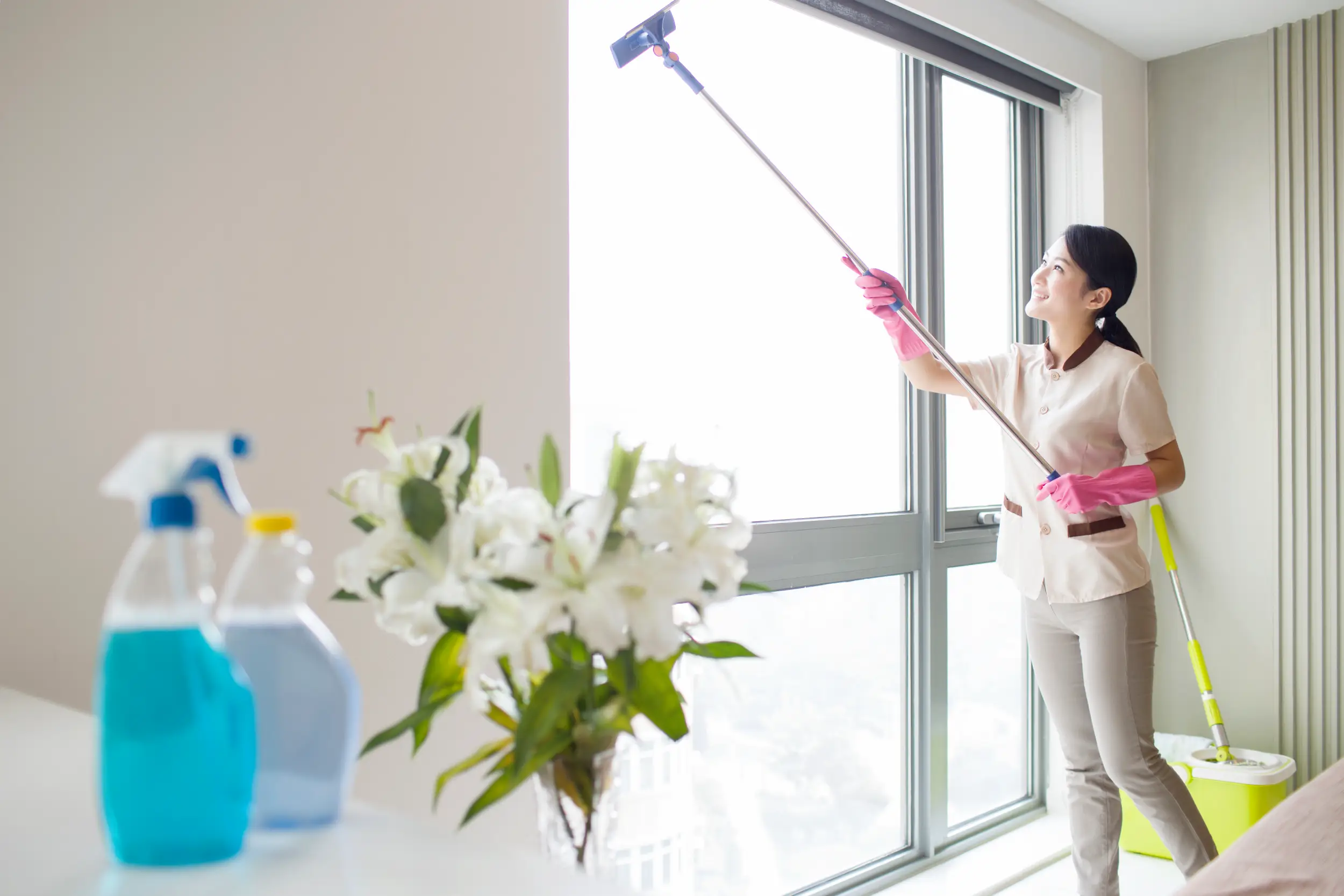 Window Cleaning